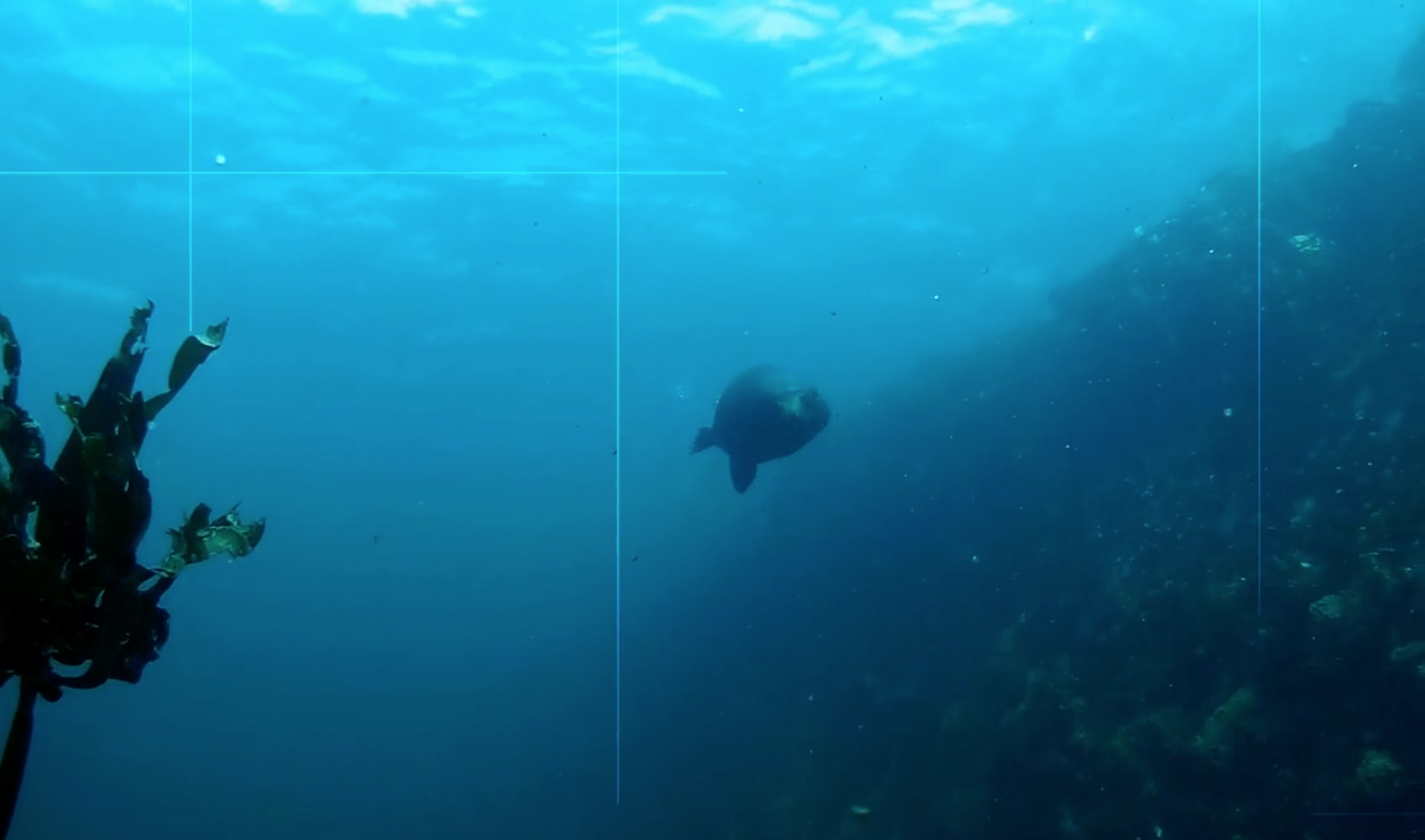 Oceans_and_coastal_fallback_(TEMP).png (1)