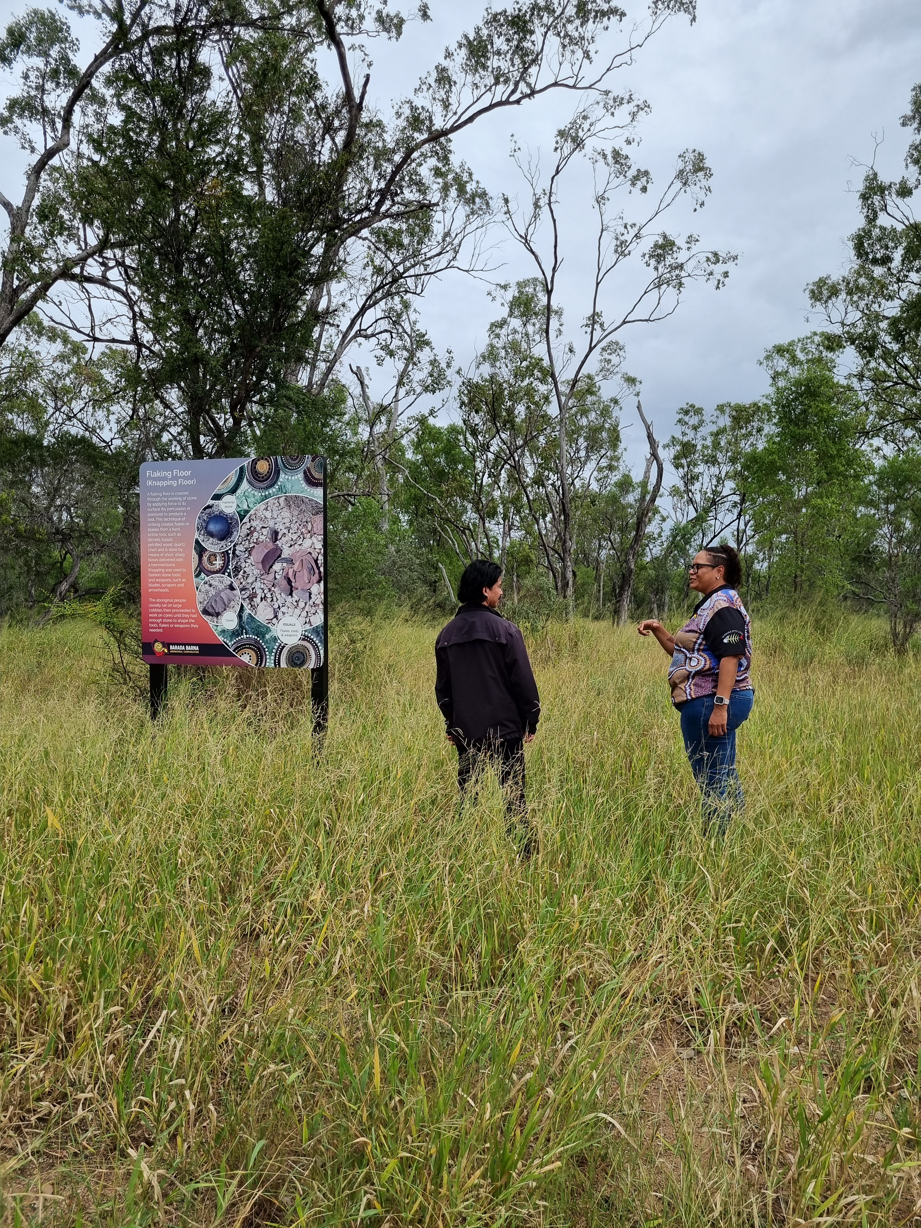 Insight Image Edited