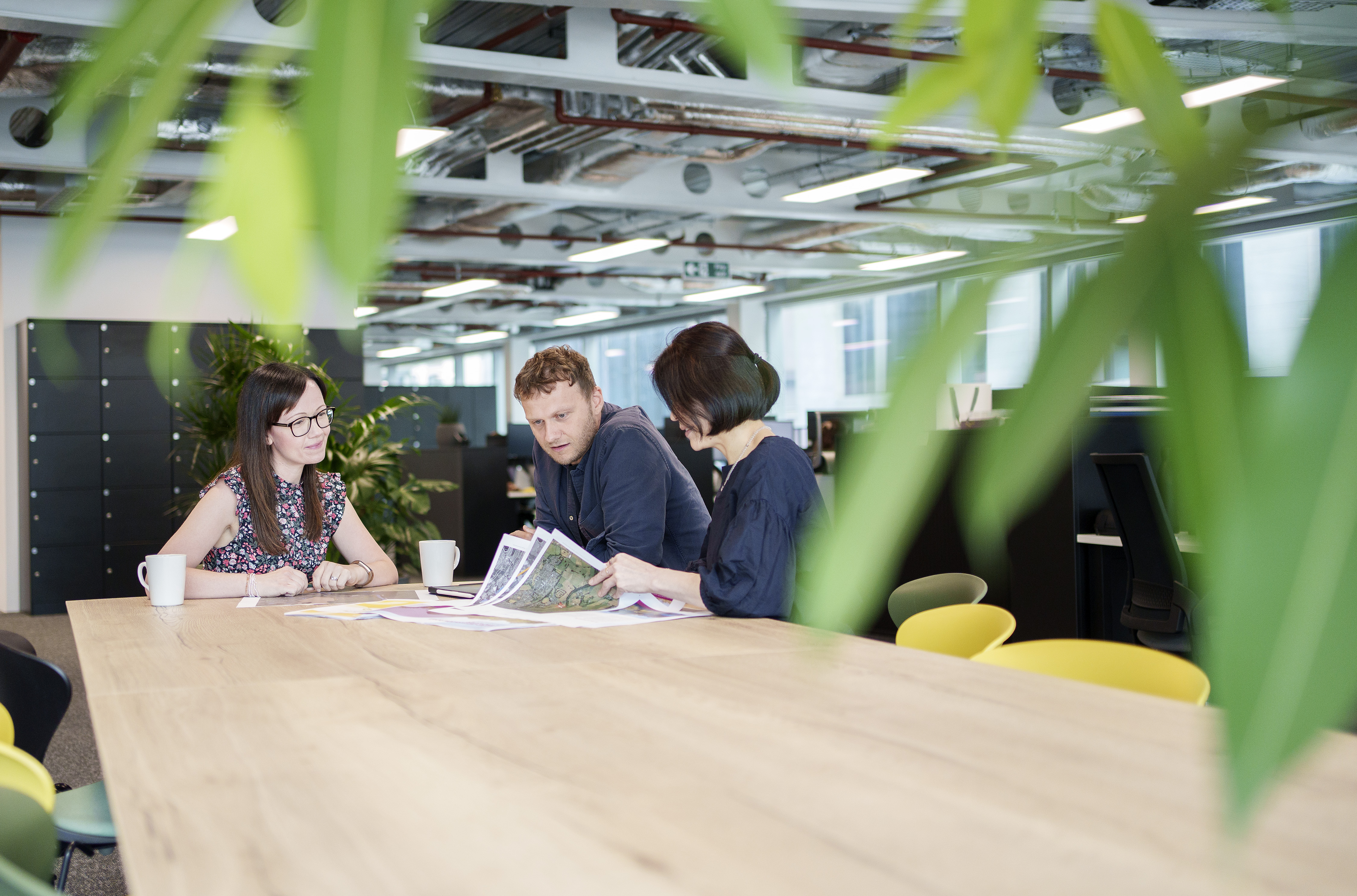 Three colleagues gathered round a table looking at plans