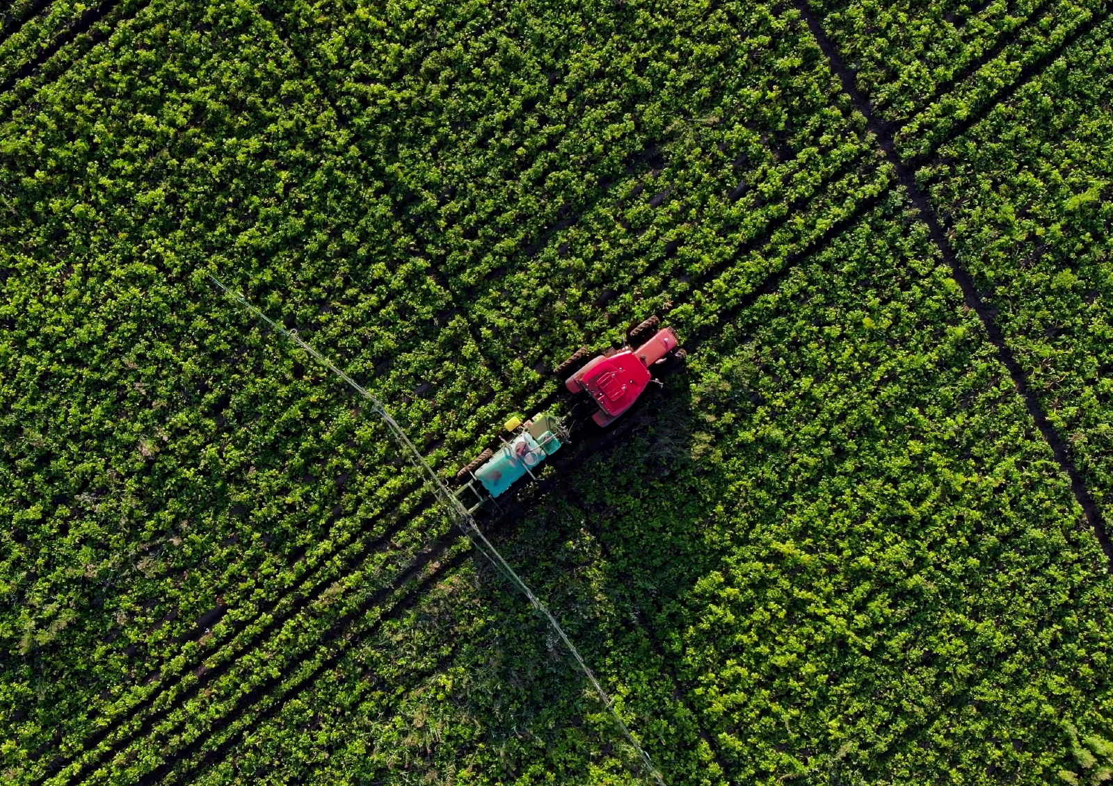 Aerial view of farming activity