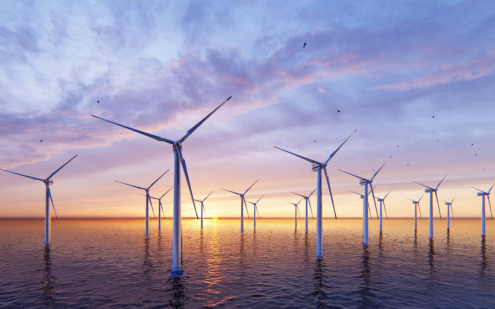 offshore-wind-farm.jpg