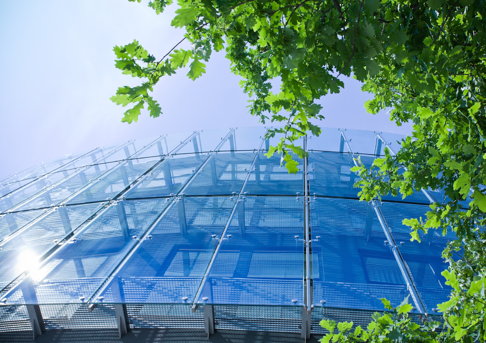 Environmentally friendly architecture. outside of a building with trees 