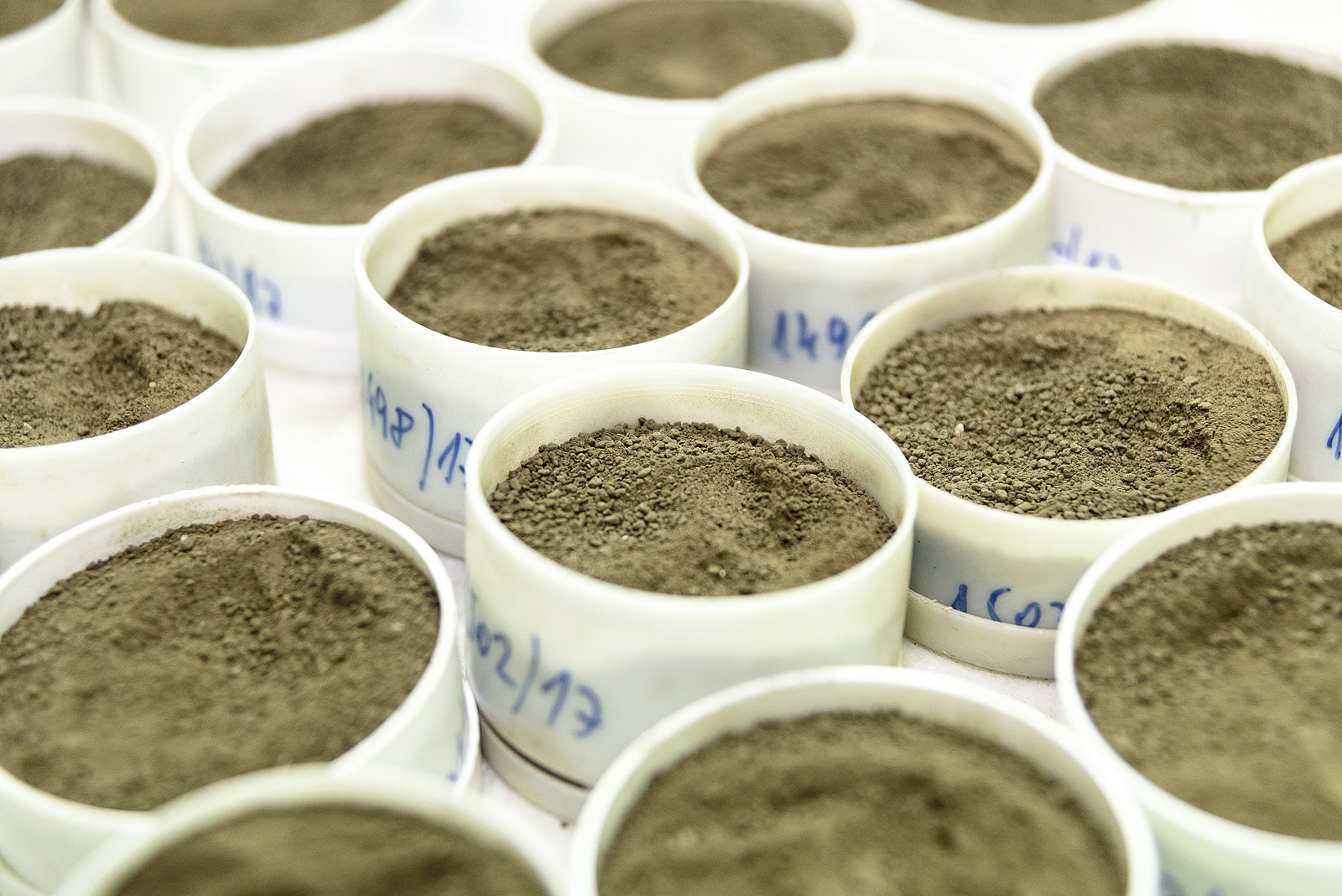 Soil samples ready for lap testing