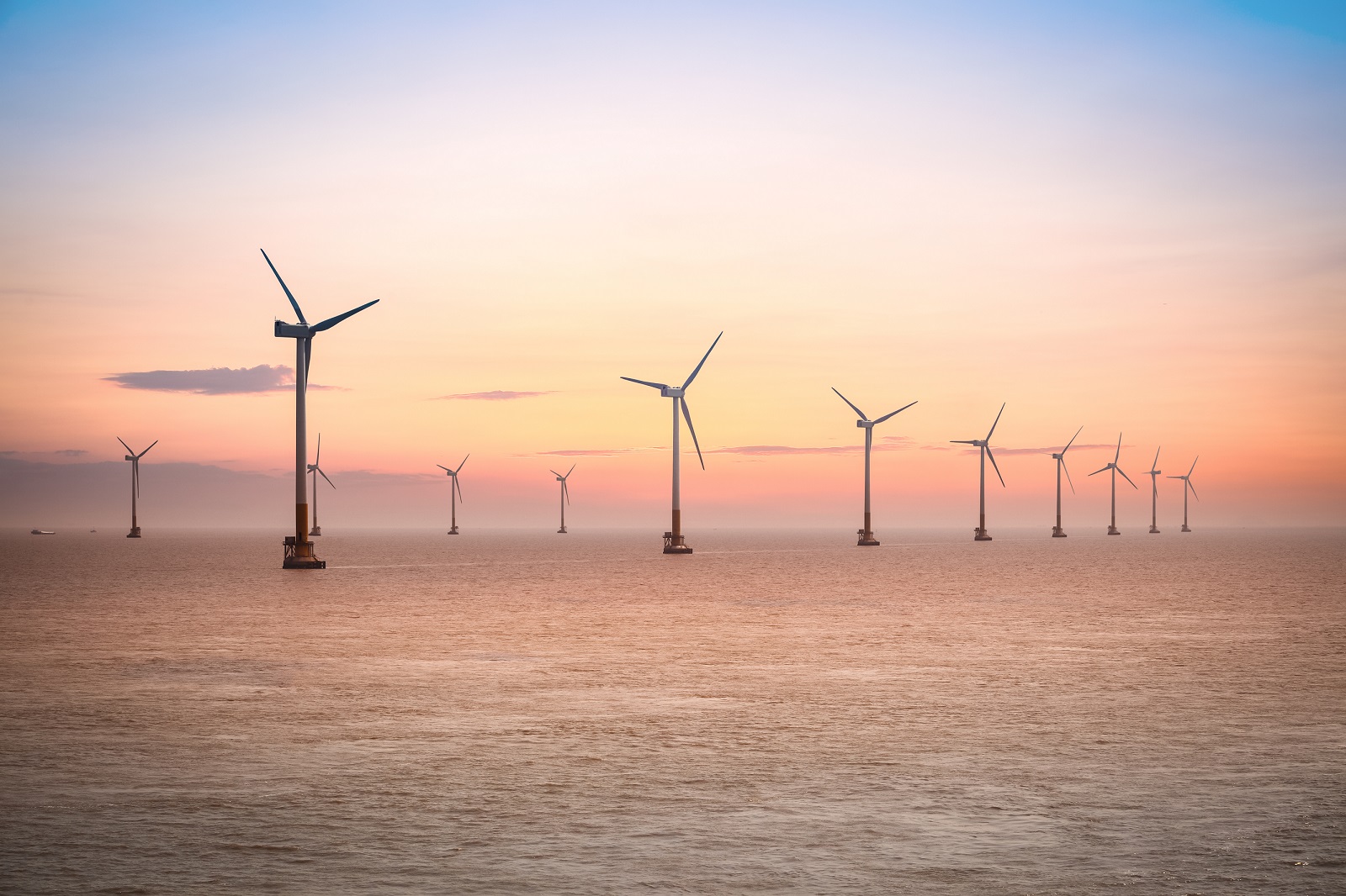 offshore-wind-farm for Star of the South.jpg
