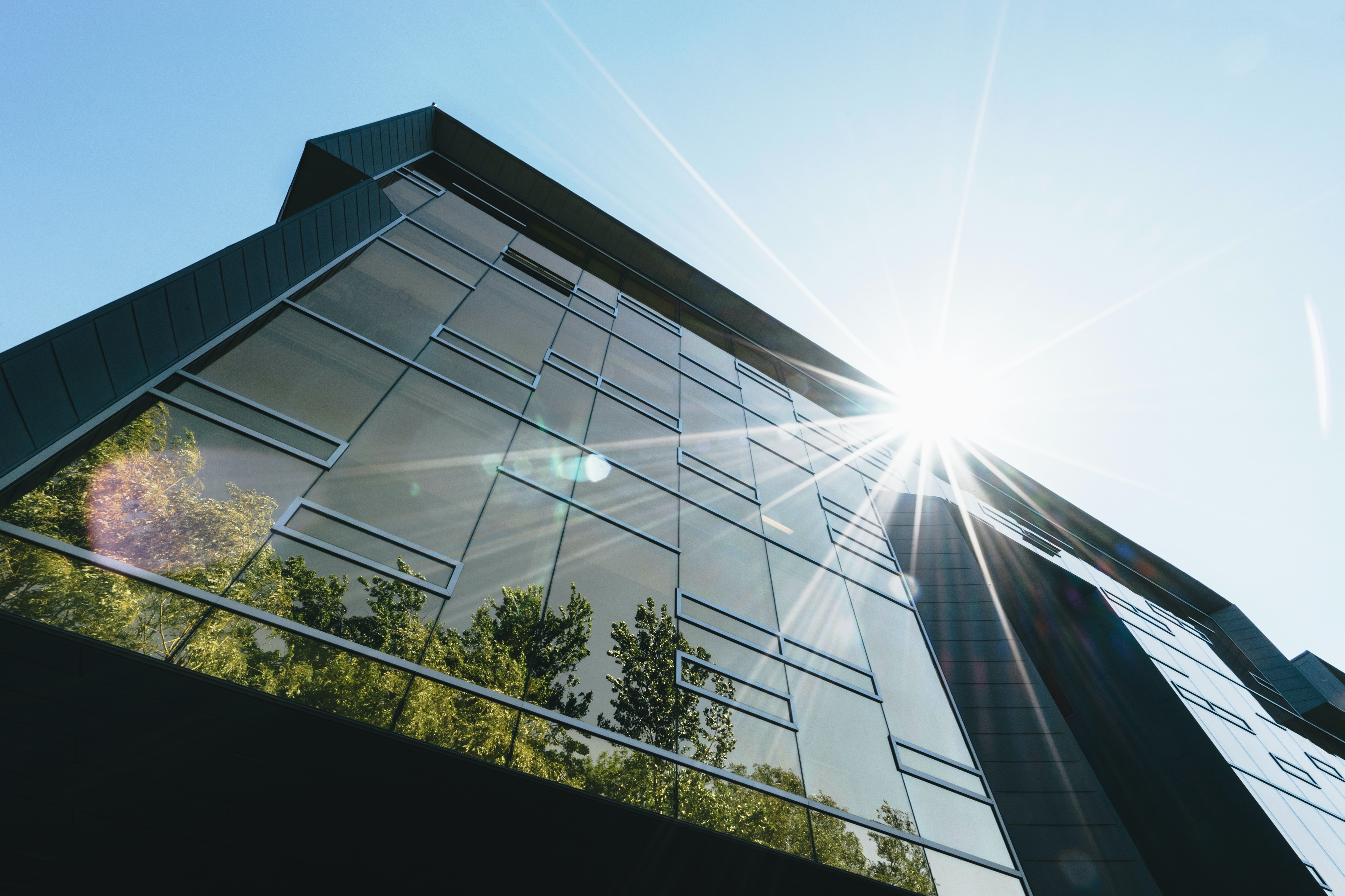 Sunlight on mirrored / glass office