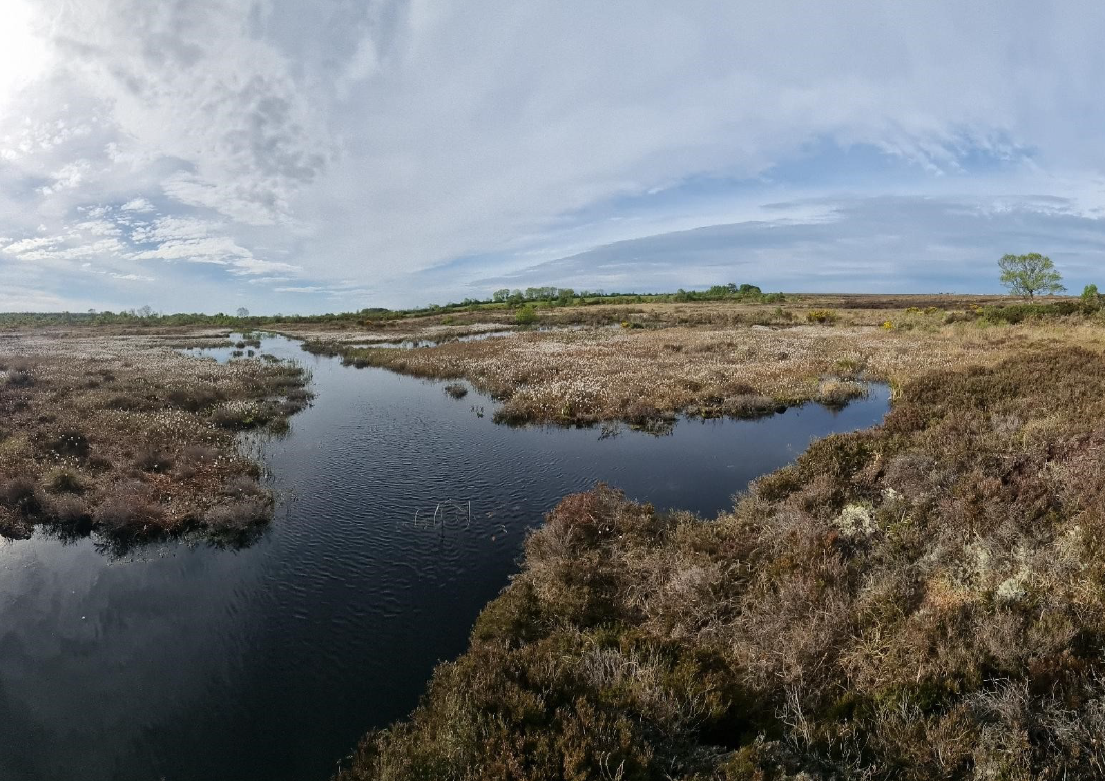 Waterlogged conditions in landmass covered by peatlands, image from the Living Bog project