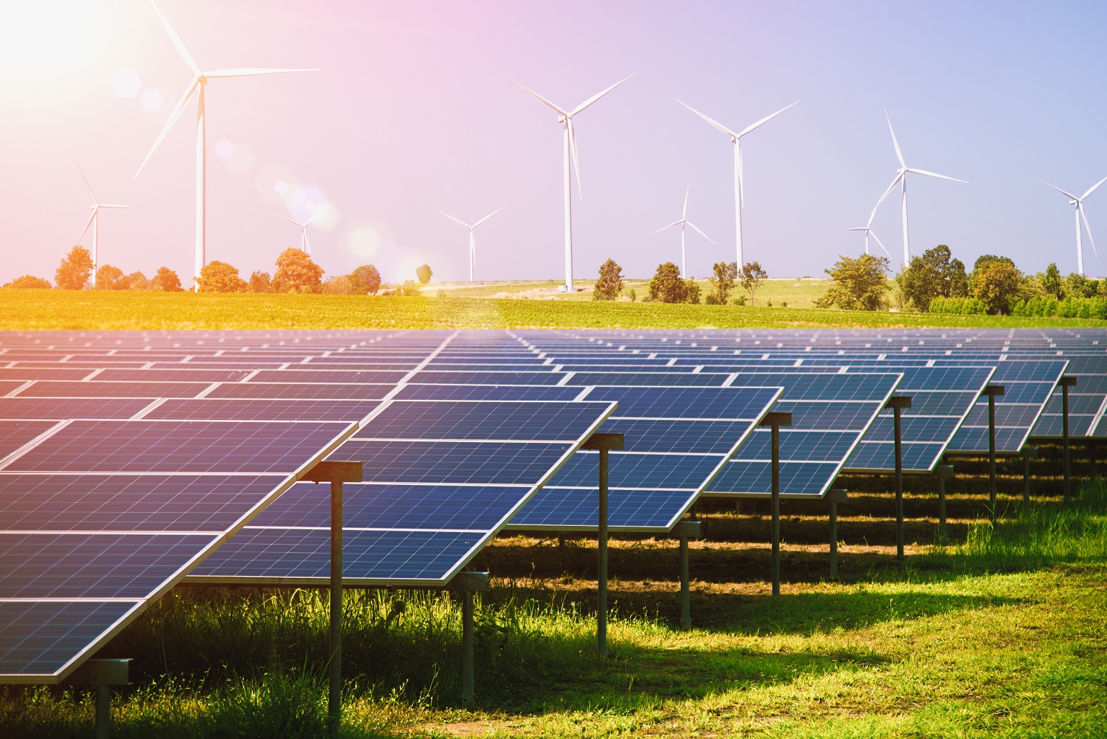 wind and solar farm in Australia