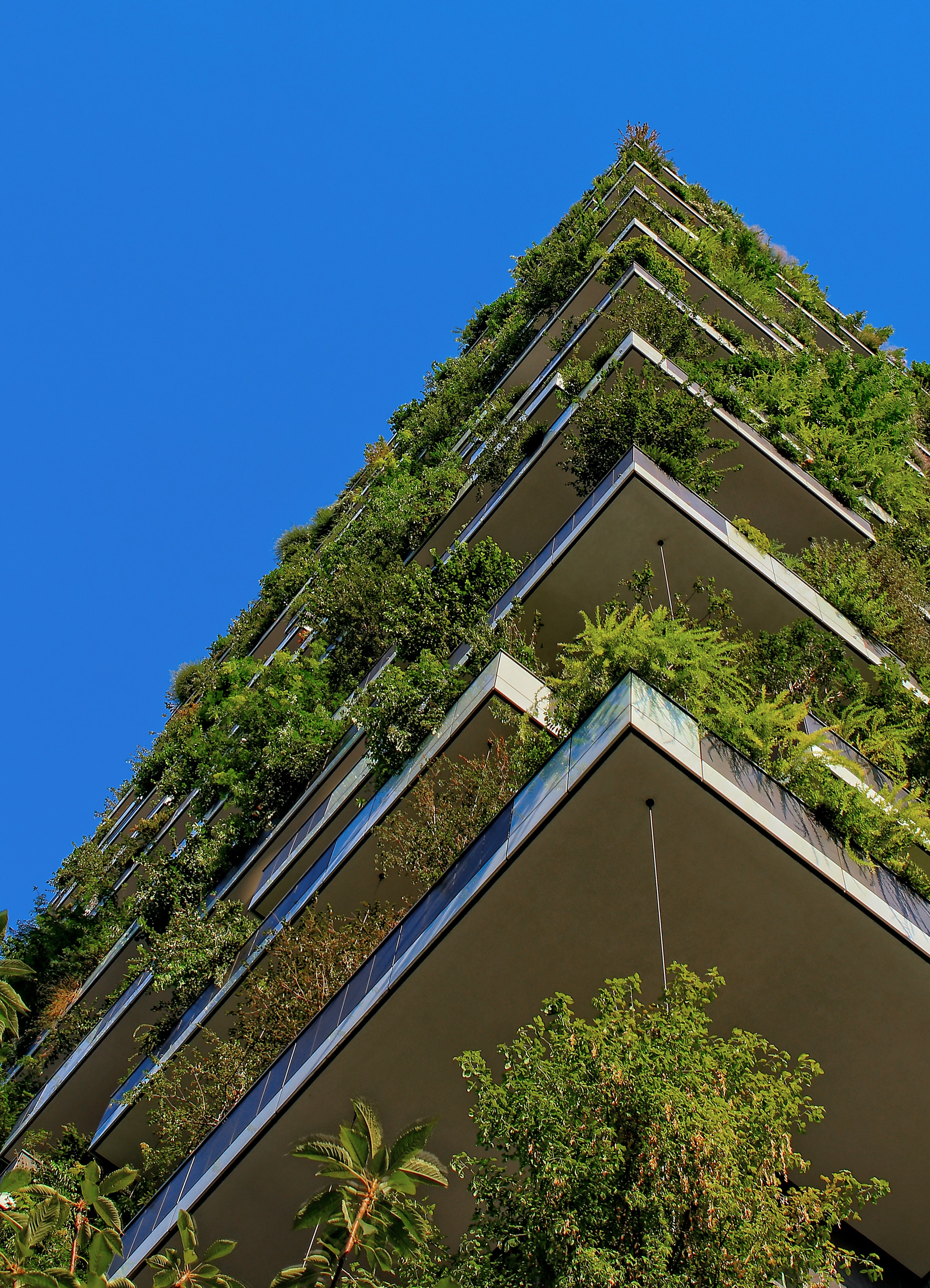 Green building taken from below