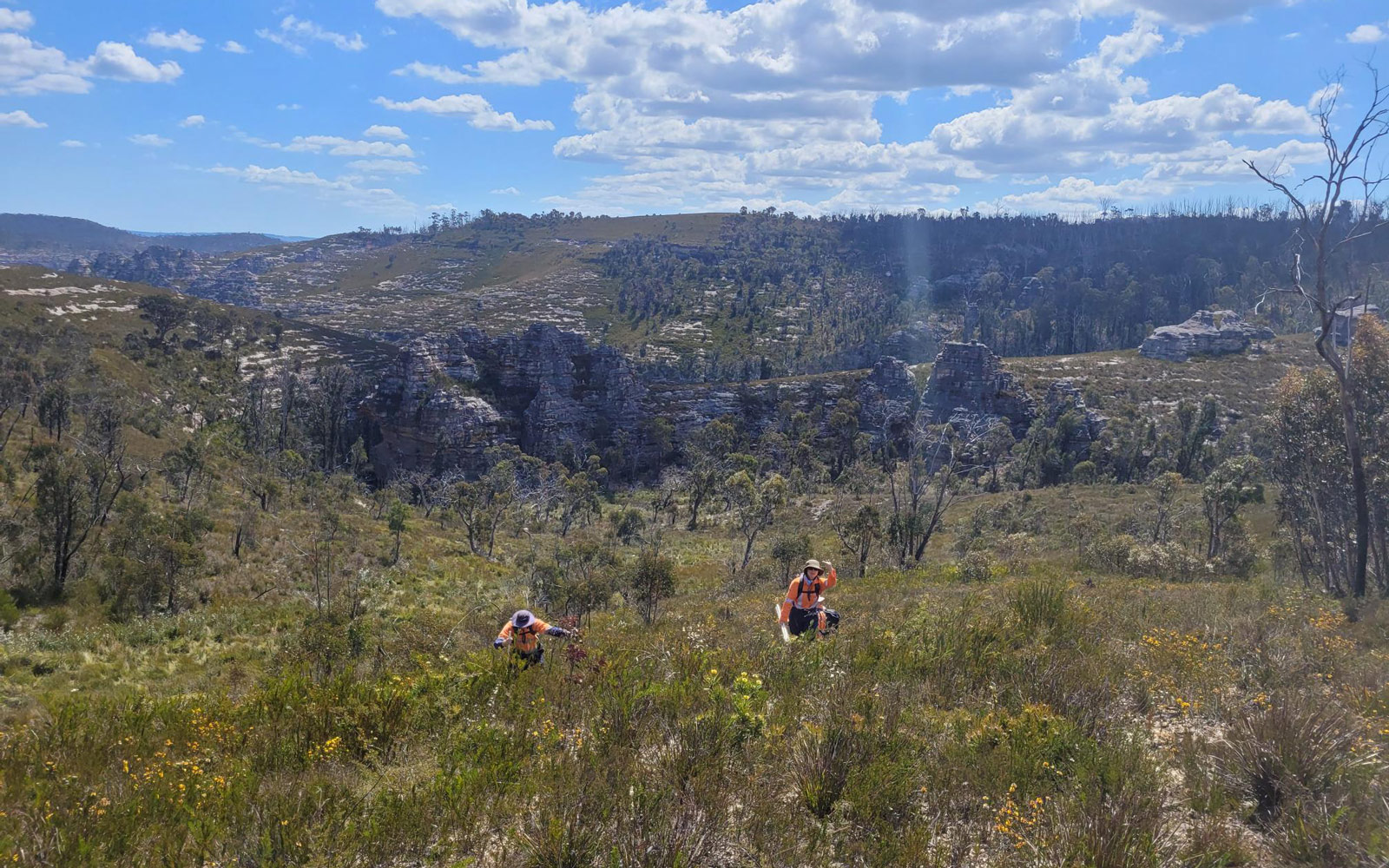 RPS ecologists in the field