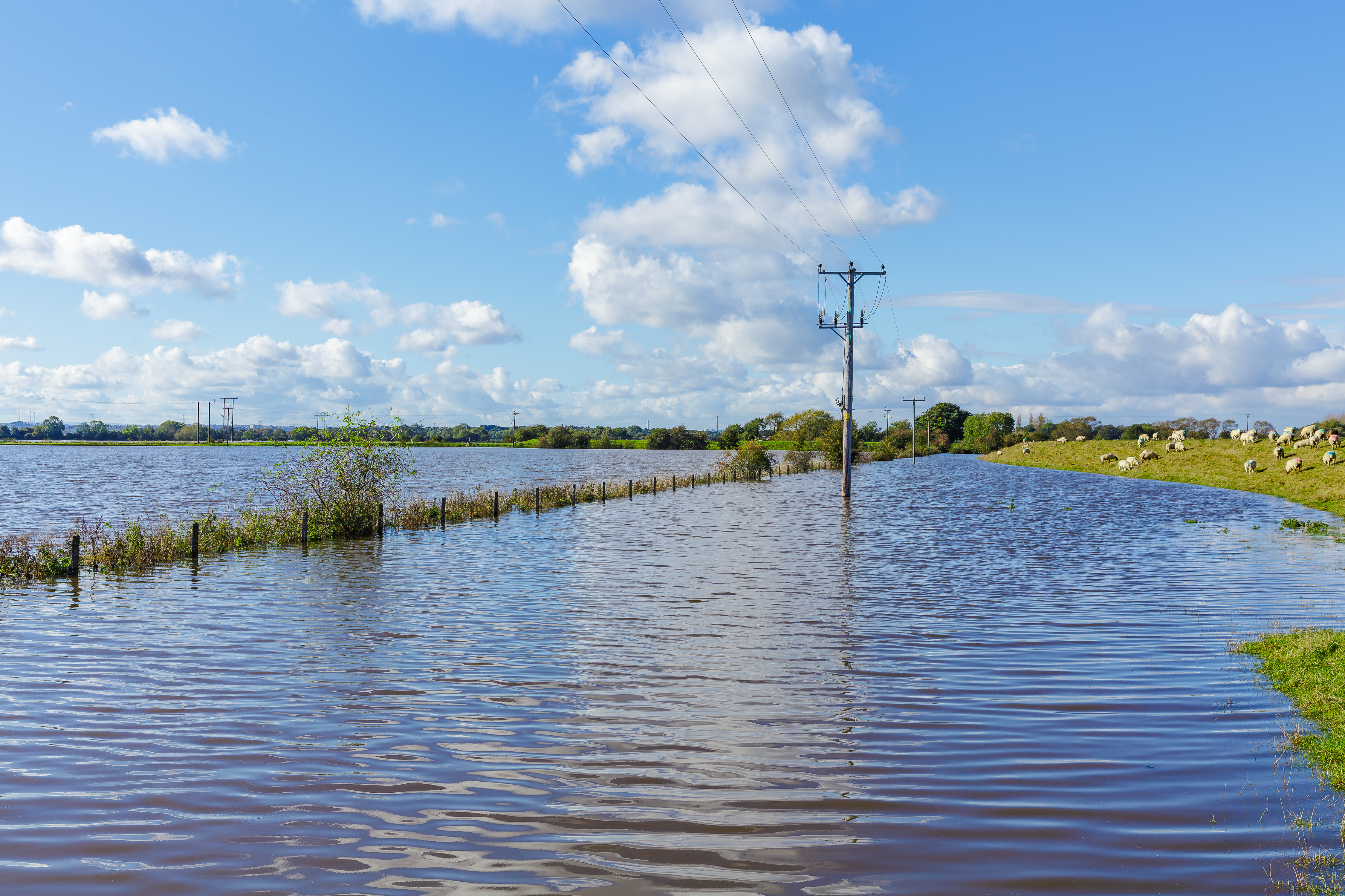 Landscape with blue sky background and flooding in foreground