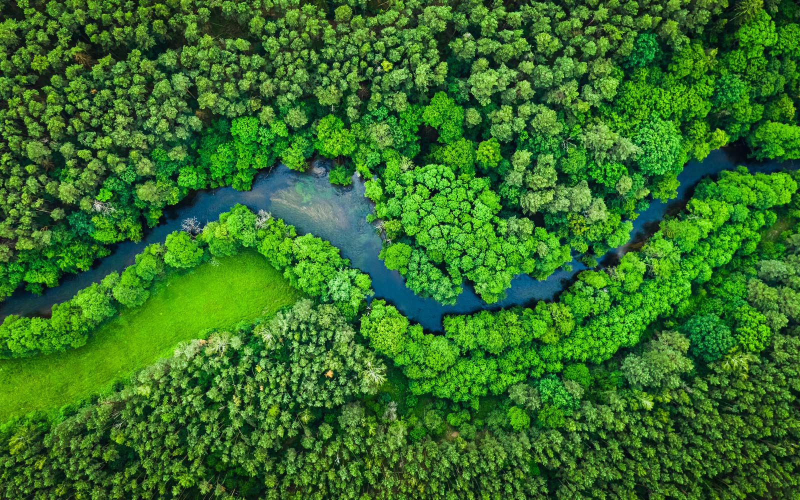 A birdseye view of a river running through lush greenery. 