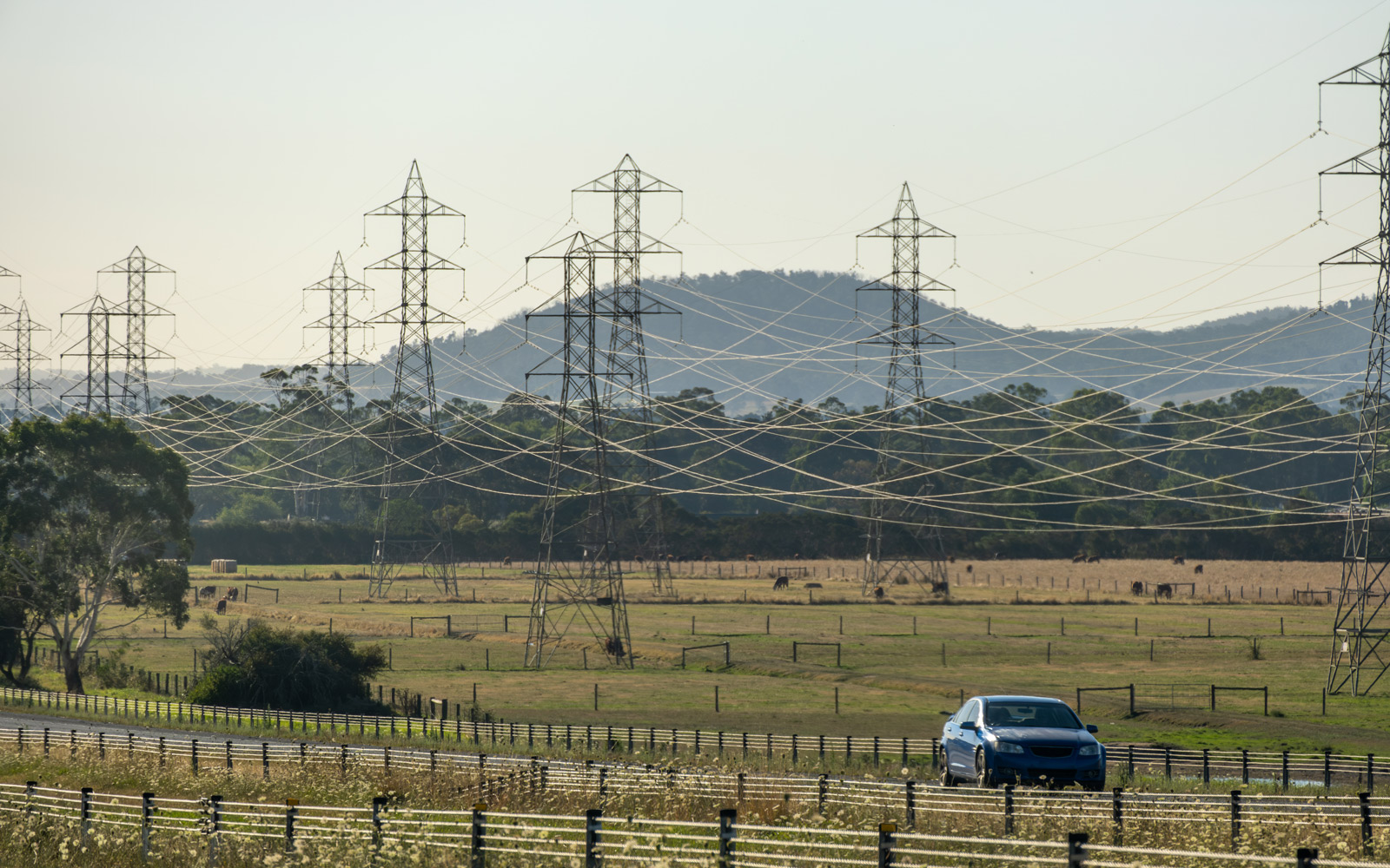 Transmission lines cut through a field of cows, as a car travels on a parallel road. 