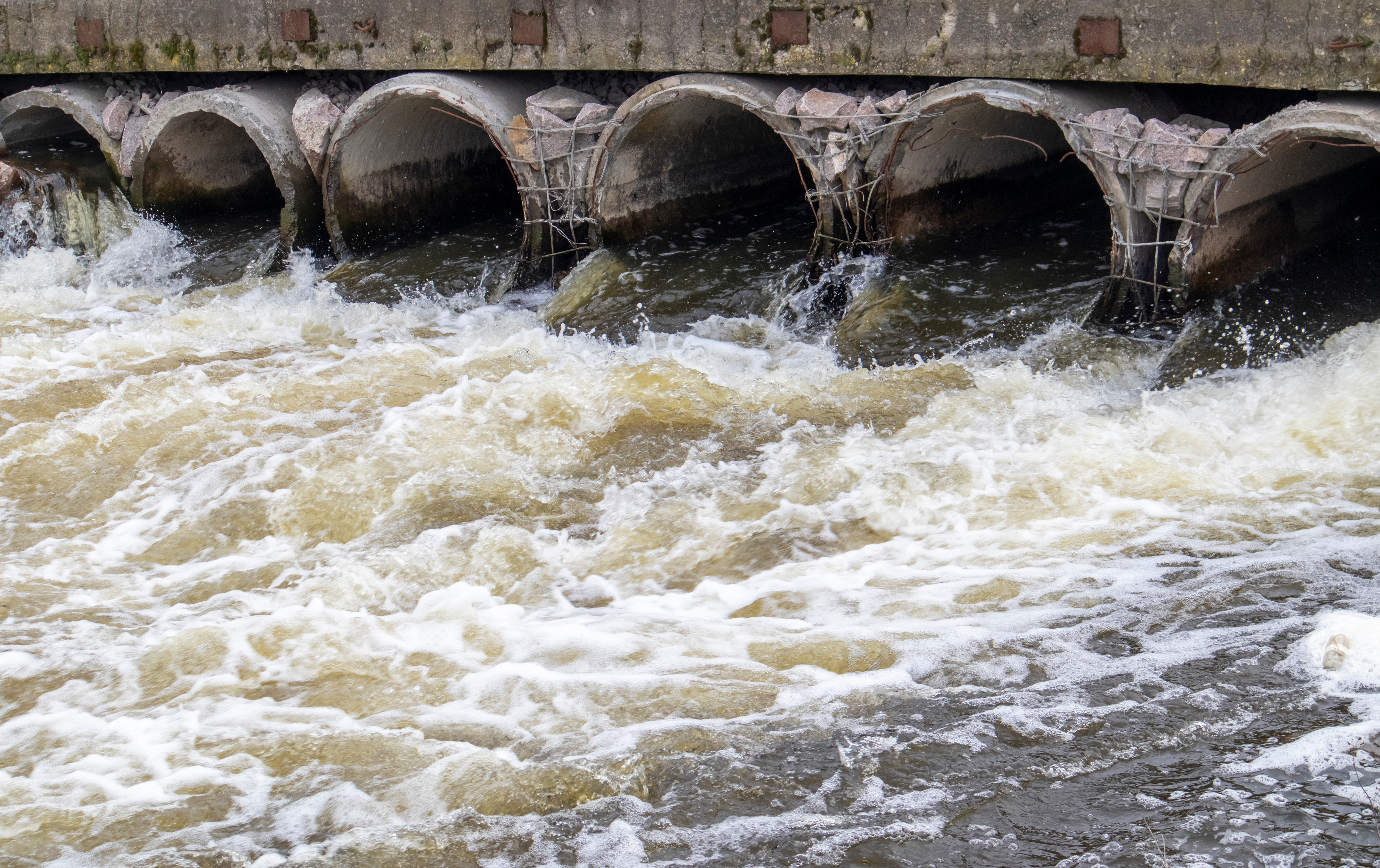 Adobestock 601839526