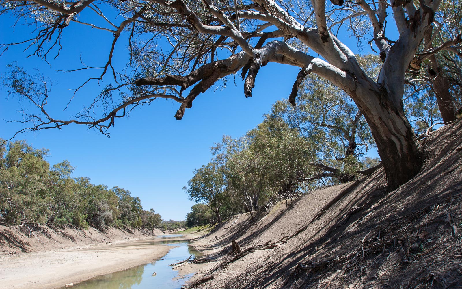 An Australian water catchment in the bush