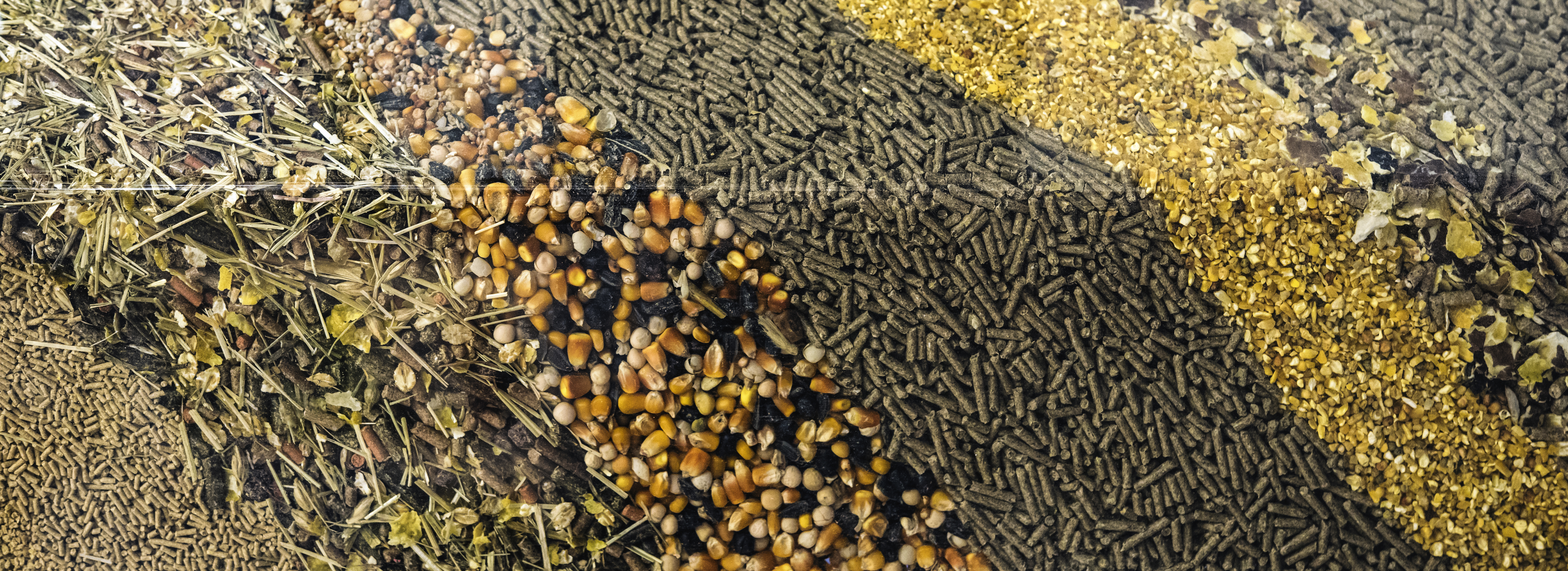 Adobestock 145009144