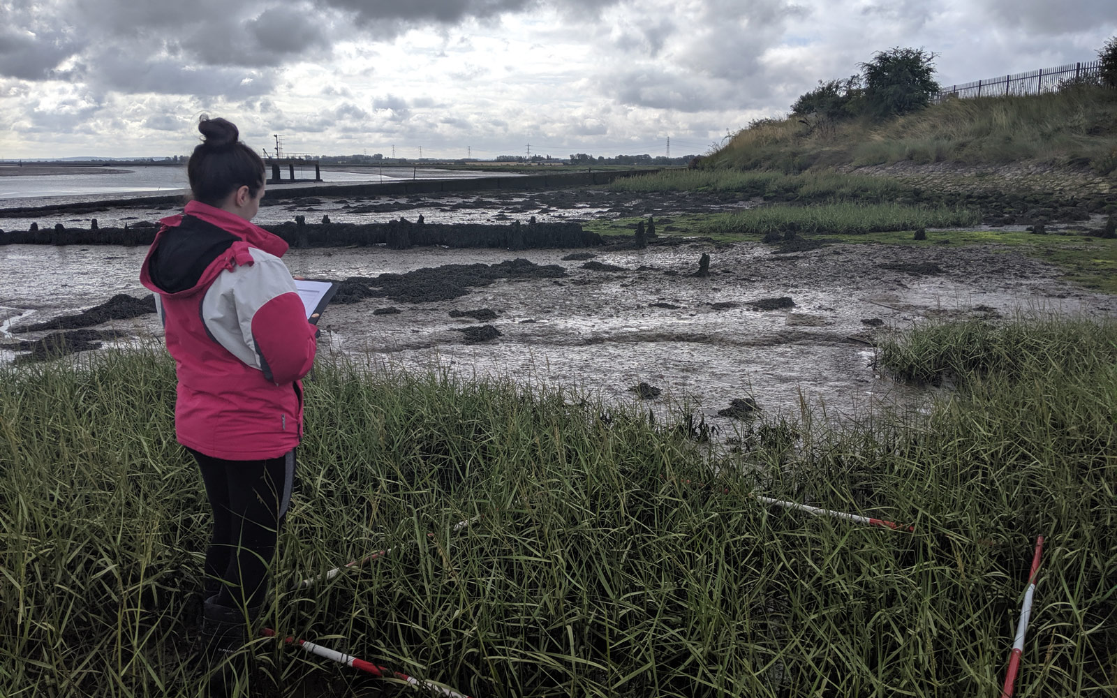 RPS' Senior Marine Consultant, Shóna Guinan conducting a saltmarsh survey