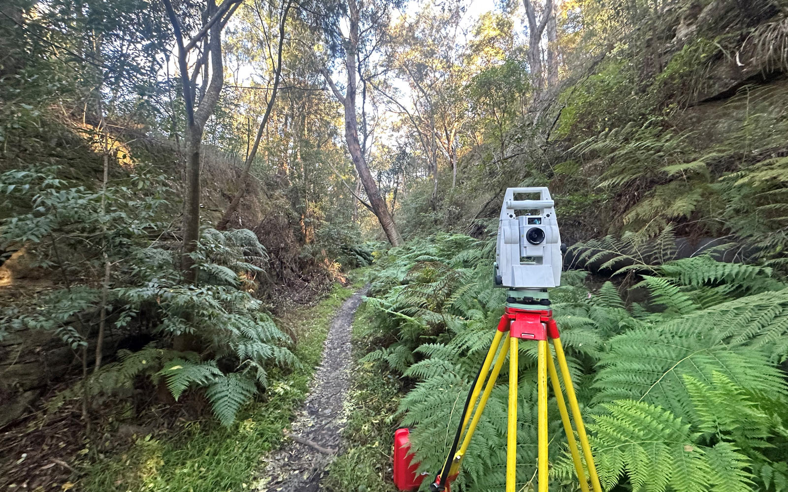 Surveying equipment is set up in the surrounding bushland of the Lapstone Hill Tunnel