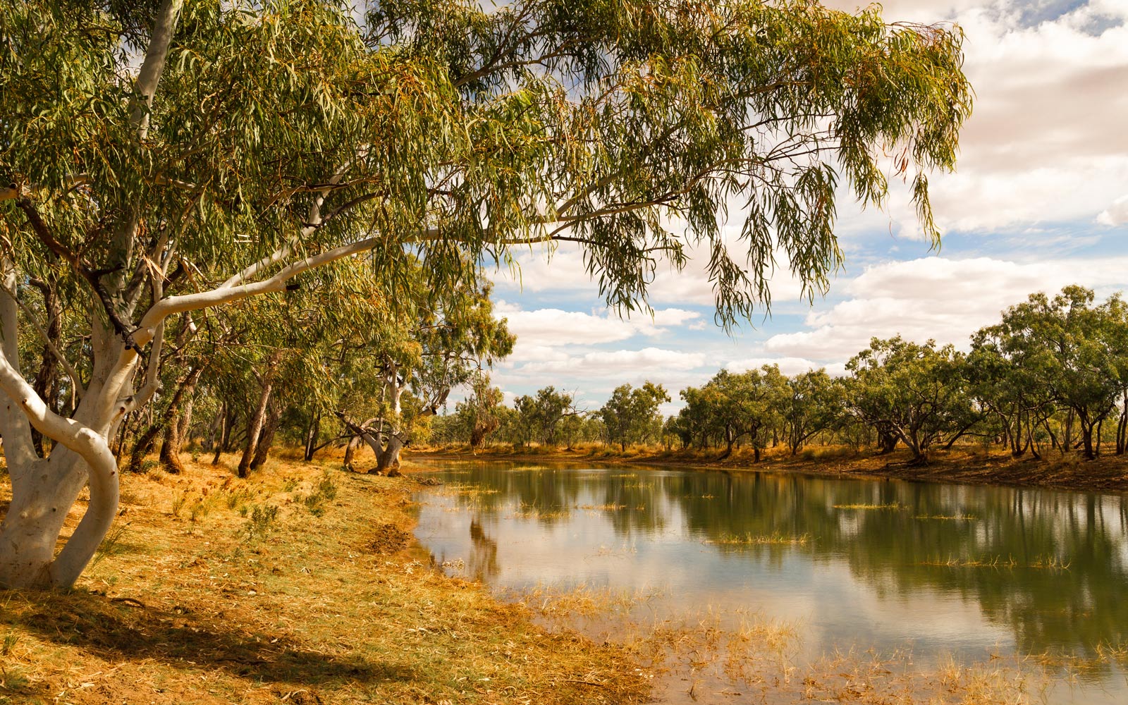 A natural water source in the Australian bush