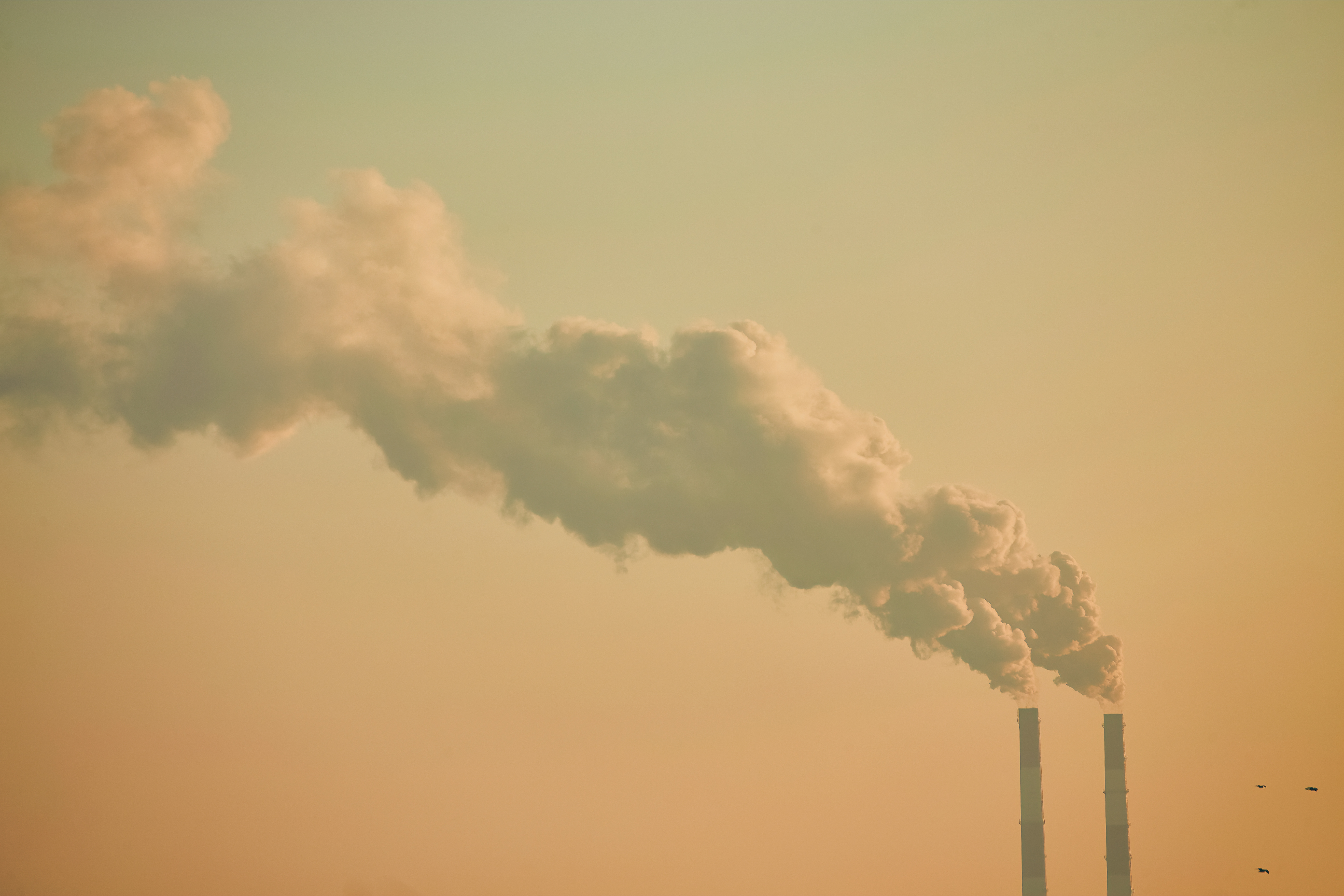 Adobestock 1821480204